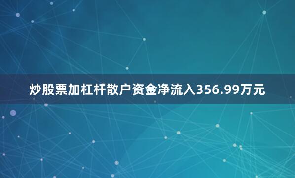 炒股票加杠杆散户资金净流入356.99万元
