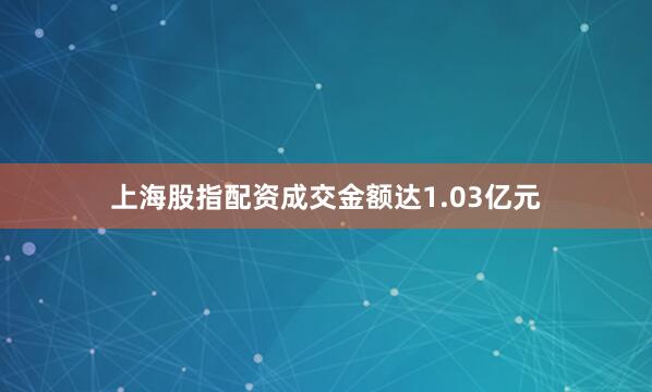 上海股指配资成交金额达1.03亿元